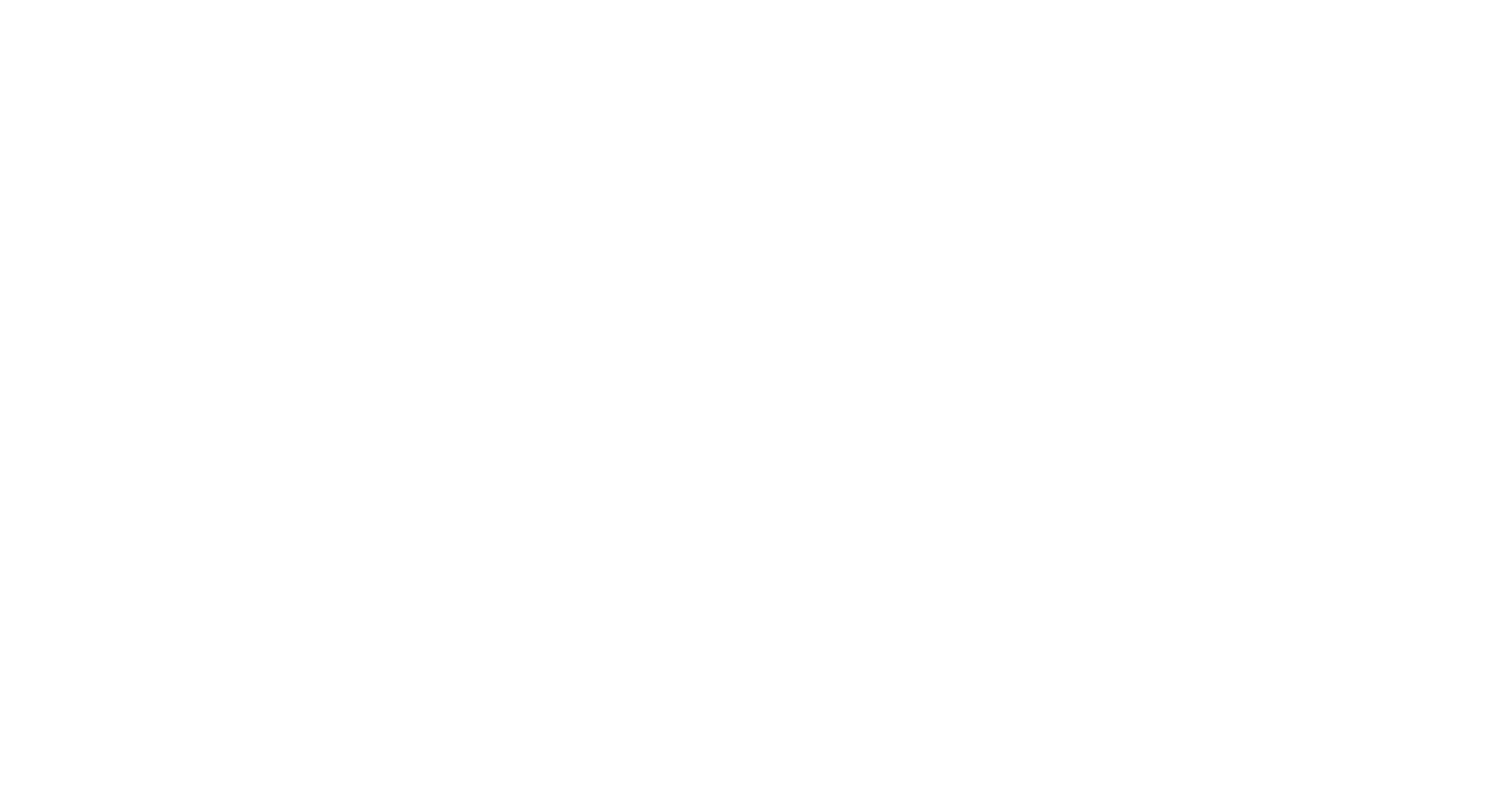 Lagerinnredning AS - Hvit Logo